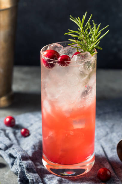 cranberry mojito recipe