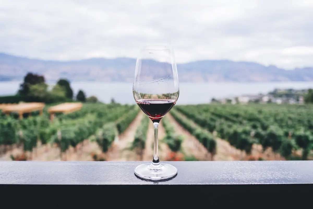 Portugal Wine Tours: How to Choose the Right Wine Region